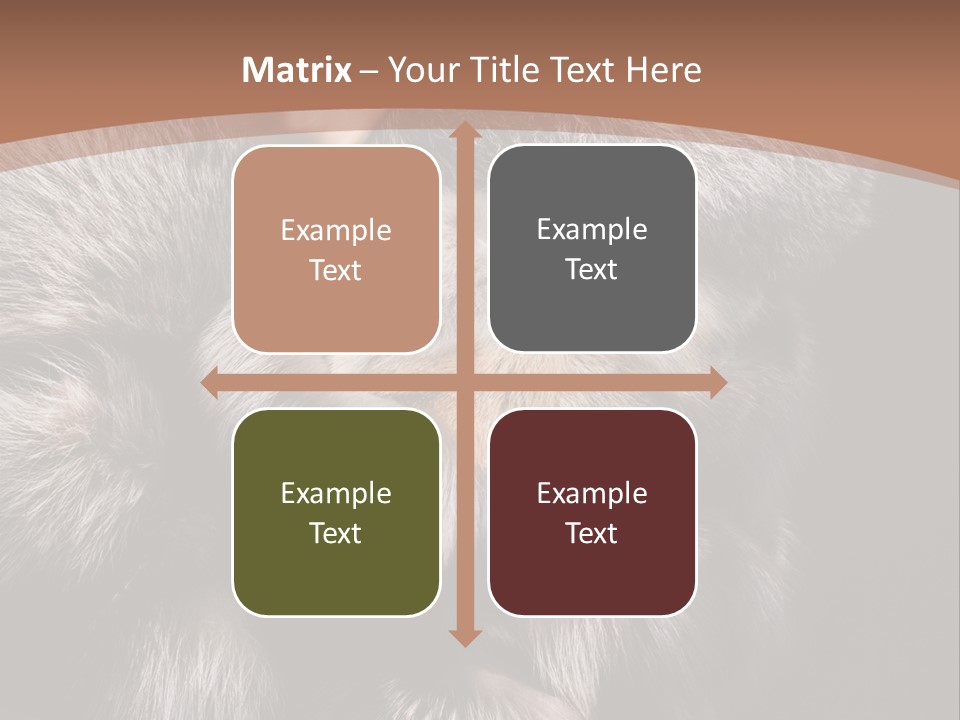 Fur Coat For Women PowerPoint Template