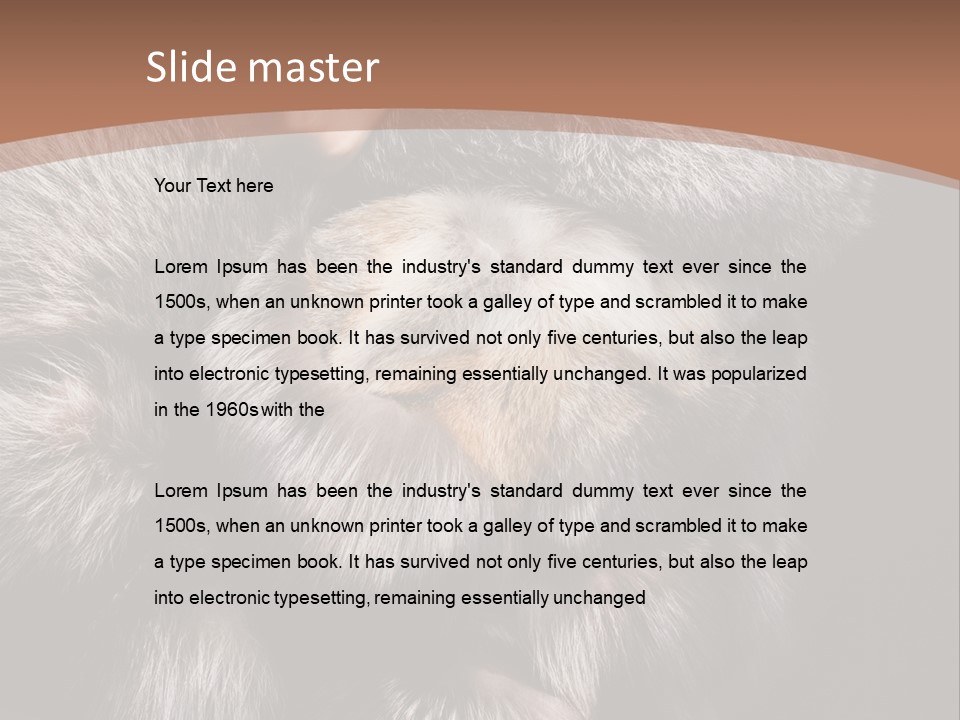 Fur Coat For Women PowerPoint Template