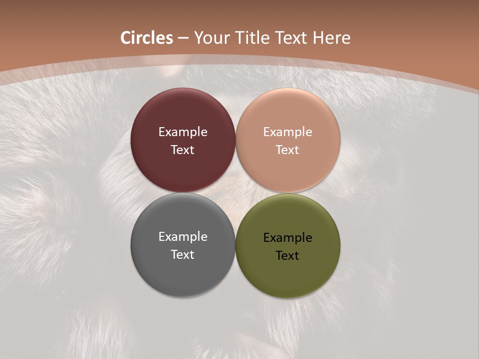 Fur Coat For Women PowerPoint Template