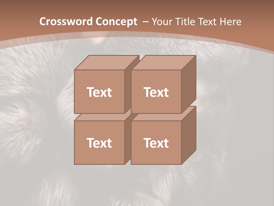 Fur Coat For Women PowerPoint Template