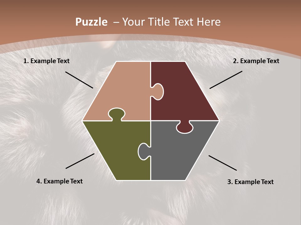 Fur Coat For Women PowerPoint Template