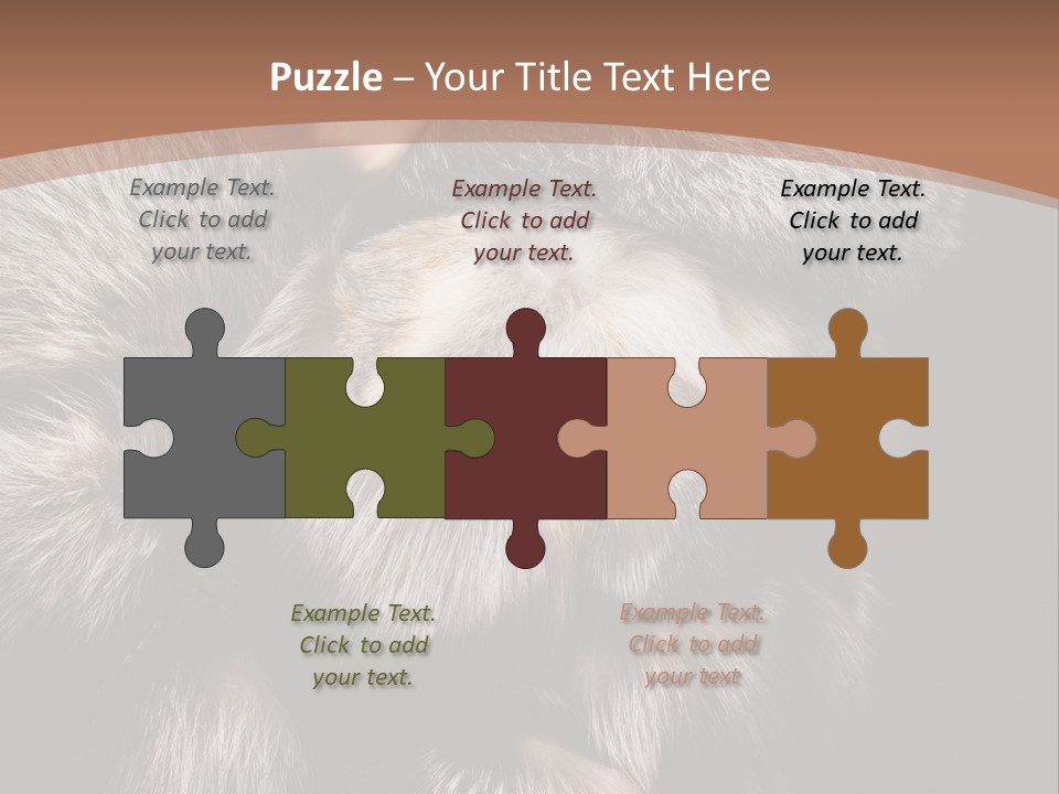 Fur Coat For Women PowerPoint Template