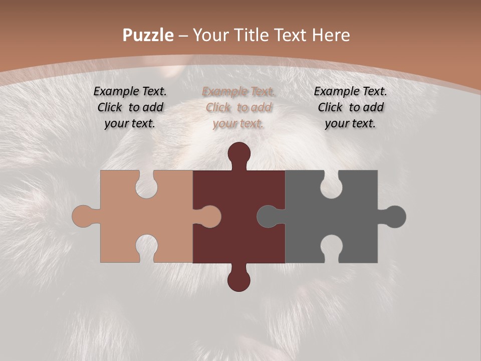 Fur Coat For Women PowerPoint Template