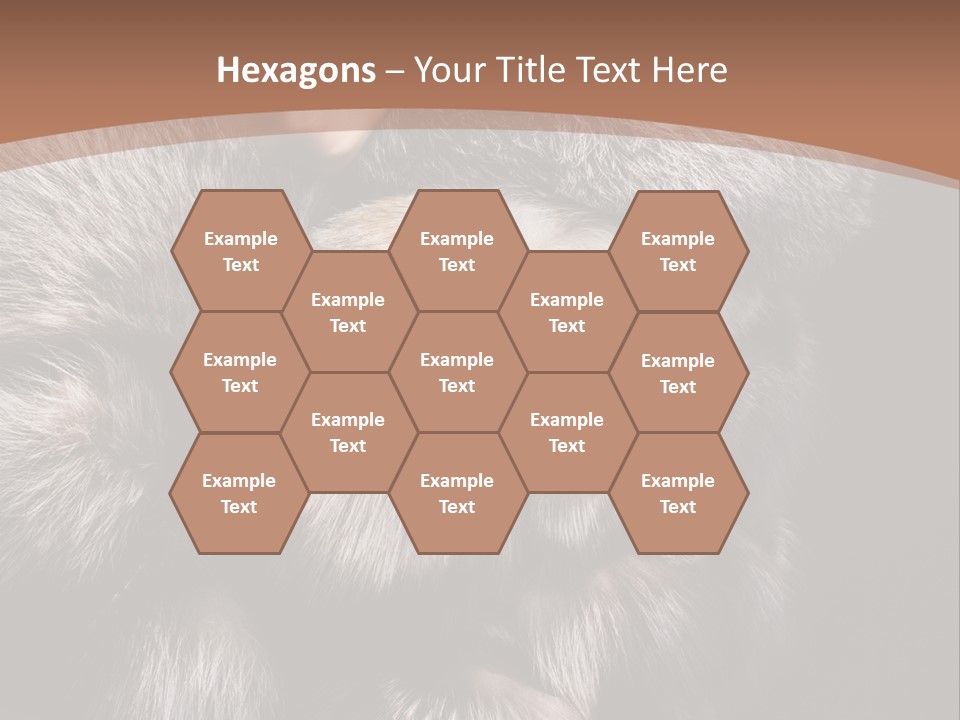 Fur Coat For Women PowerPoint Template