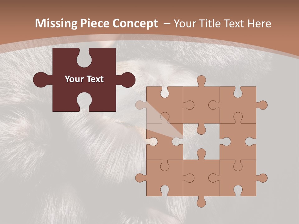 Fur Coat For Women PowerPoint Template