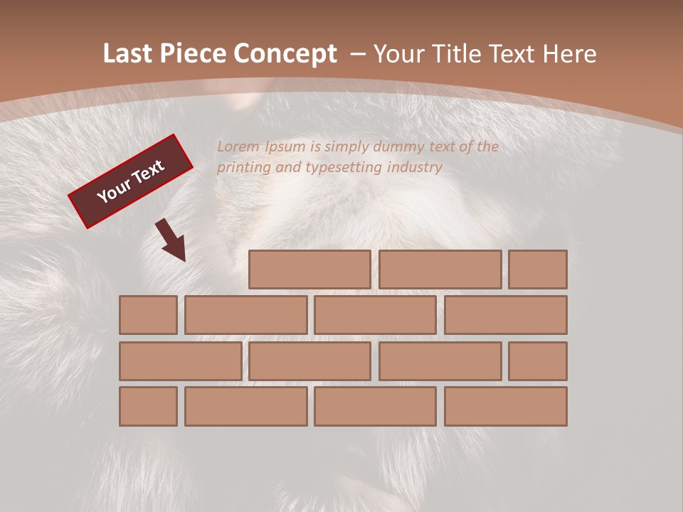 Fur Coat For Women PowerPoint Template