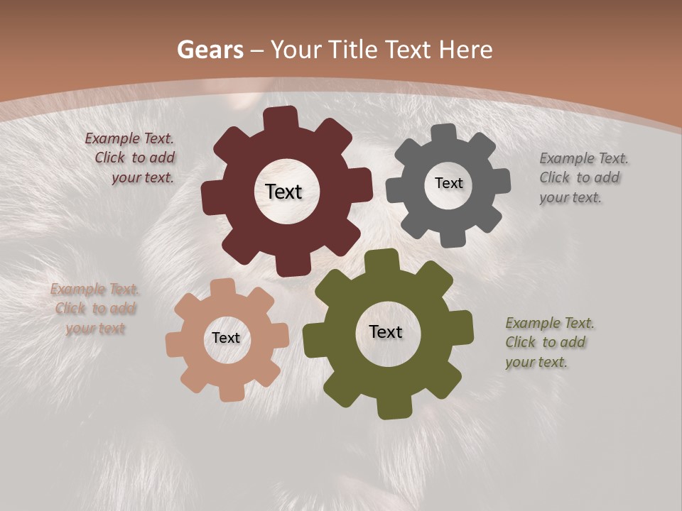 Fur Coat For Women PowerPoint Template