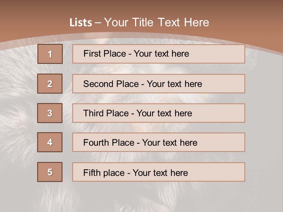 Fur Coat For Women PowerPoint Template
