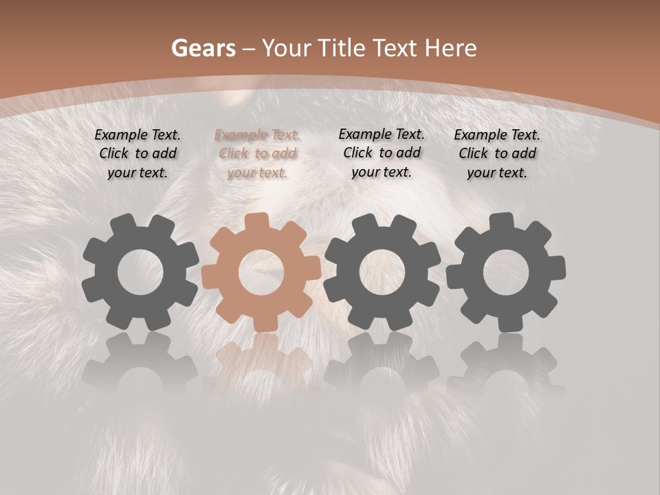 Fur Coat For Women PowerPoint Template