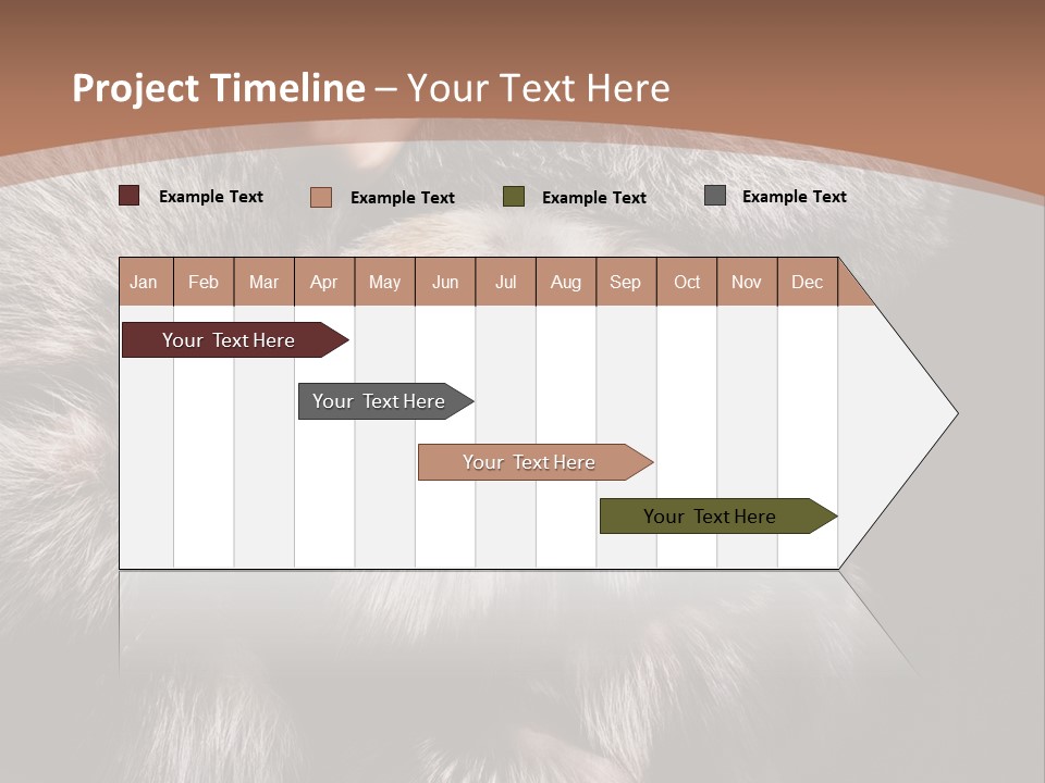 Fur Coat For Women PowerPoint Template