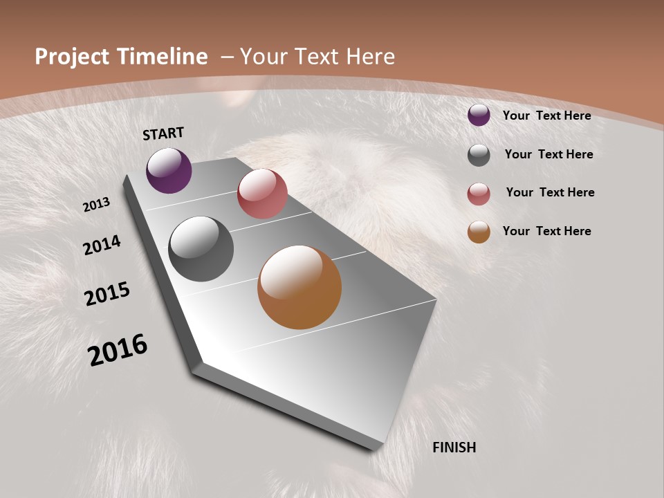 Fur Coat For Women PowerPoint Template