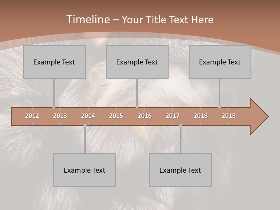 Fur Coat For Women PowerPoint Template