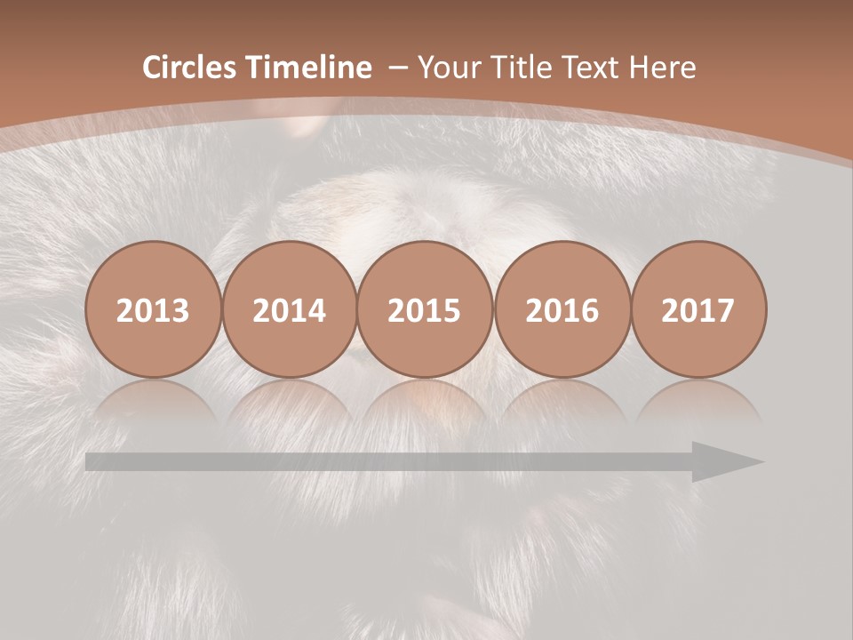 Fur Coat For Women PowerPoint Template