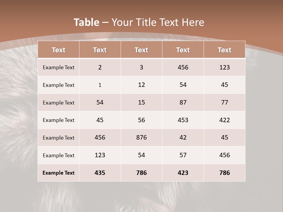 Fur Coat For Women PowerPoint Template