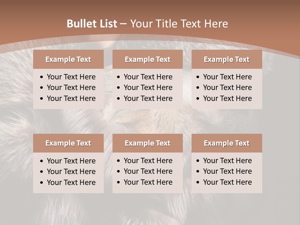 Fur Coat For Women PowerPoint Template