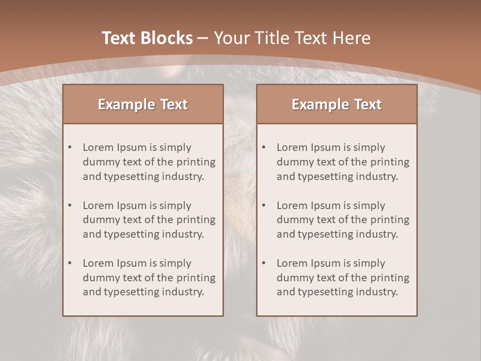 Fur Coat For Women PowerPoint Template