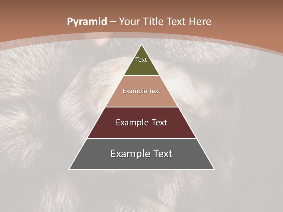 Fur Coat For Women PowerPoint Template