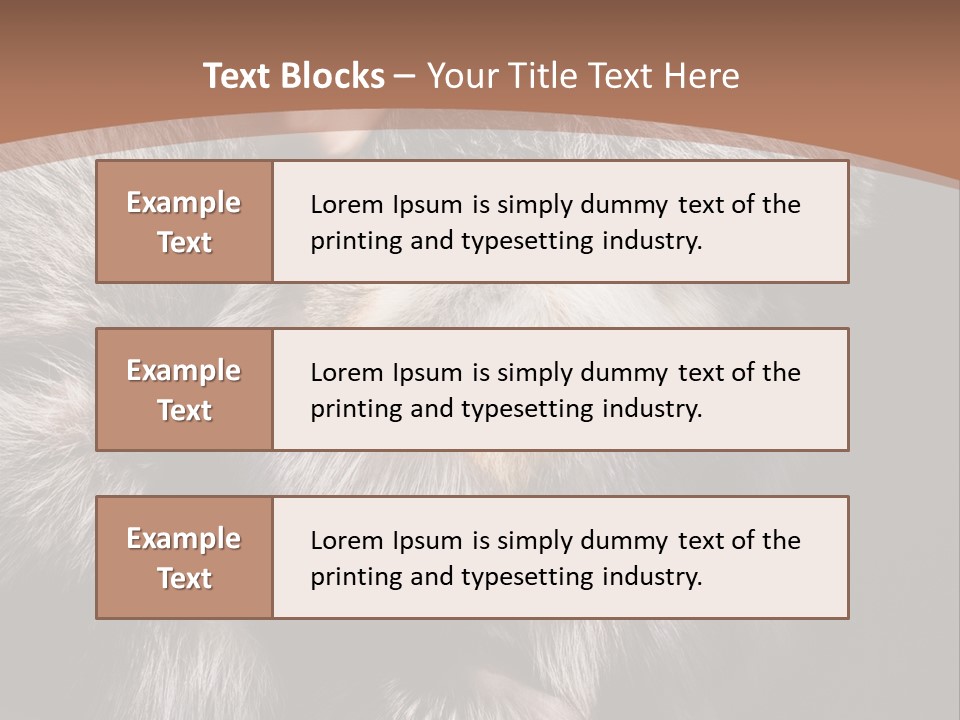 Fur Coat For Women PowerPoint Template