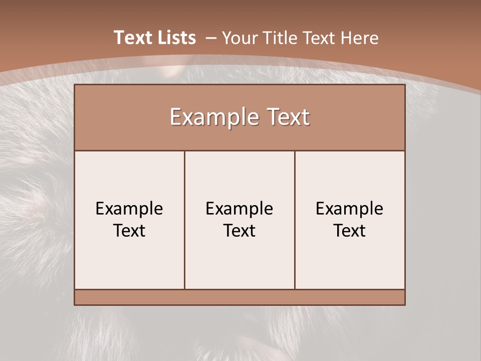 Fur Coat For Women PowerPoint Template