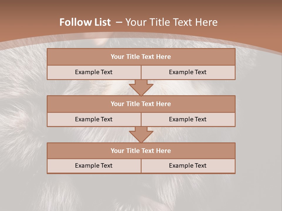 Fur Coat For Women PowerPoint Template