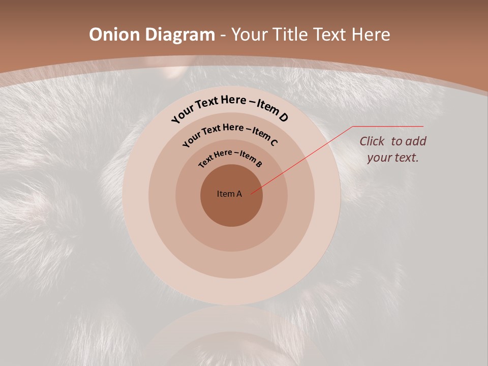 Fur Coat For Women PowerPoint Template