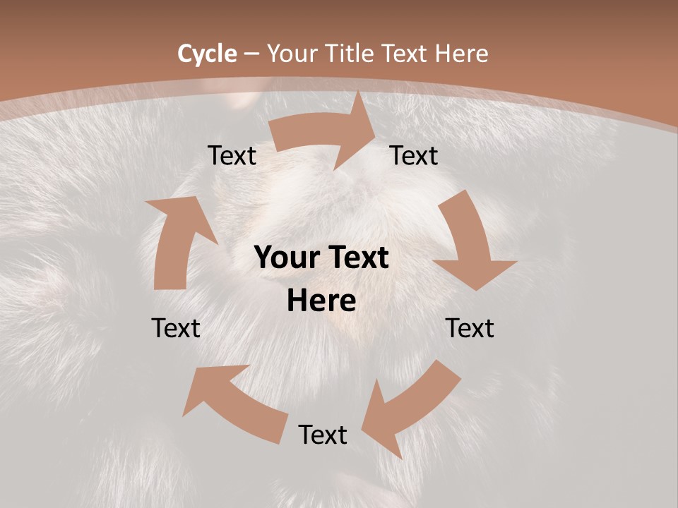 Fur Coat For Women PowerPoint Template