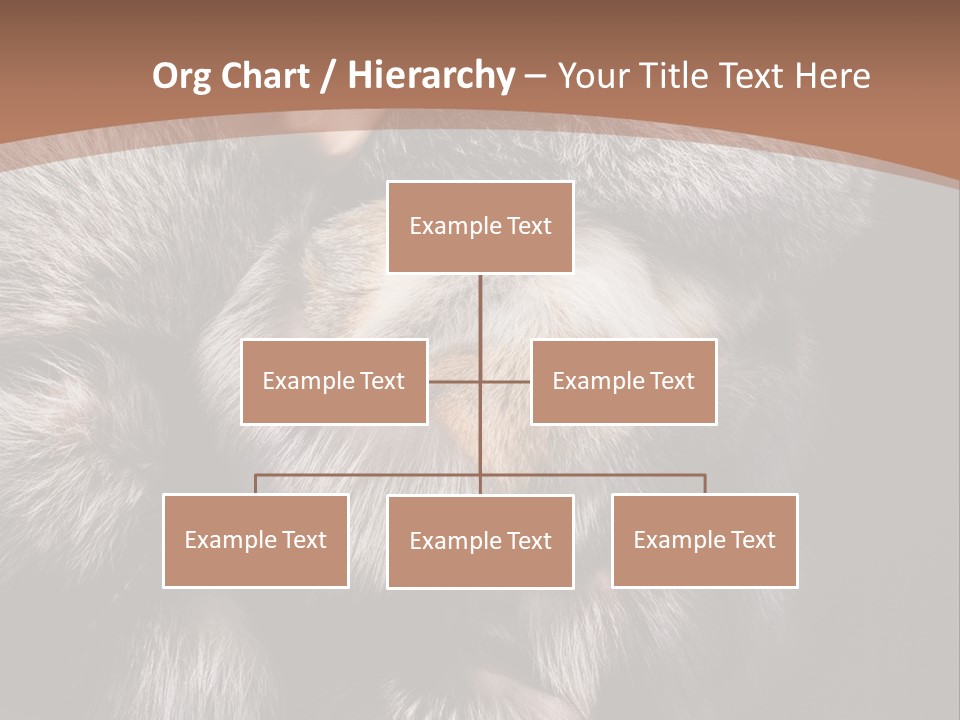 Fur Coat For Women PowerPoint Template