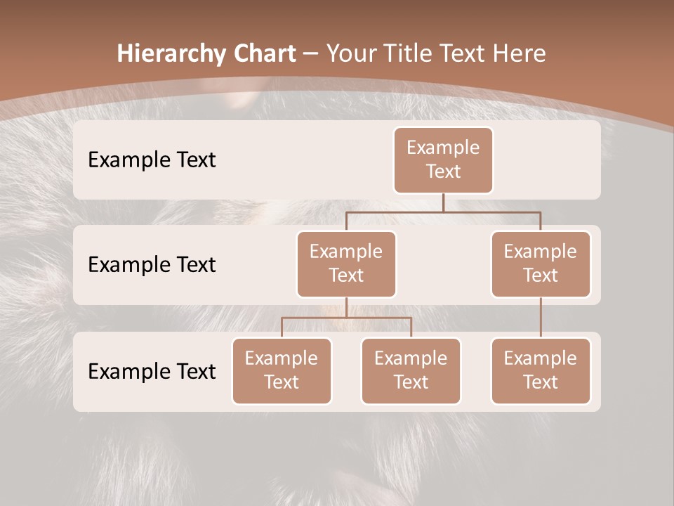 Fur Coat For Women PowerPoint Template