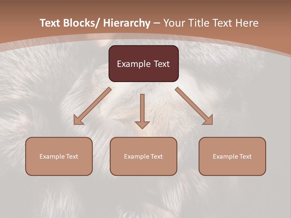 Fur Coat For Women PowerPoint Template