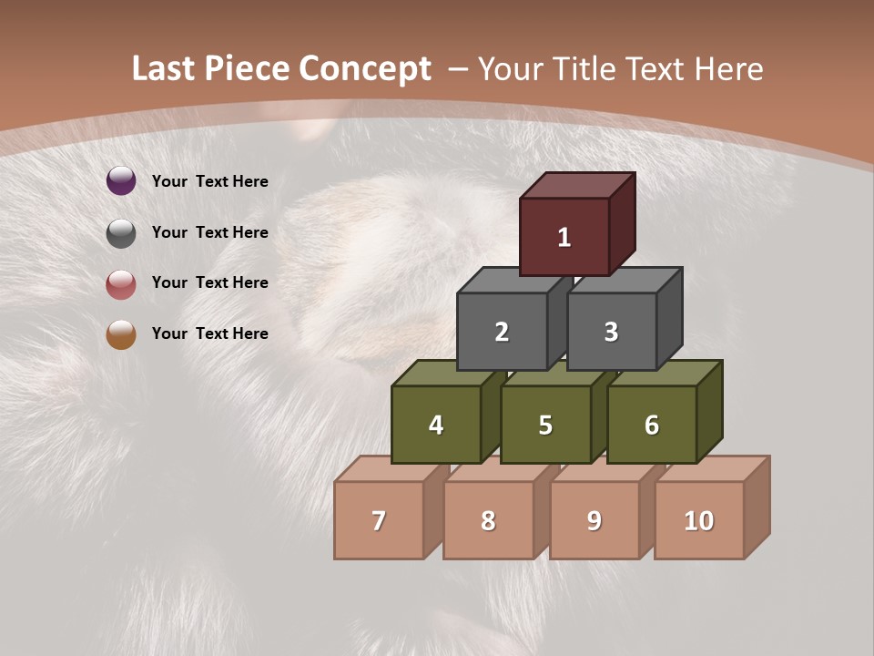 Fur Coat For Women PowerPoint Template