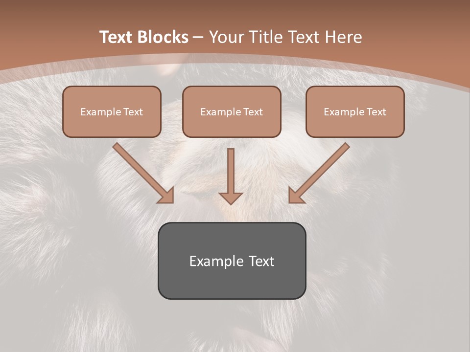 Fur Coat For Women PowerPoint Template