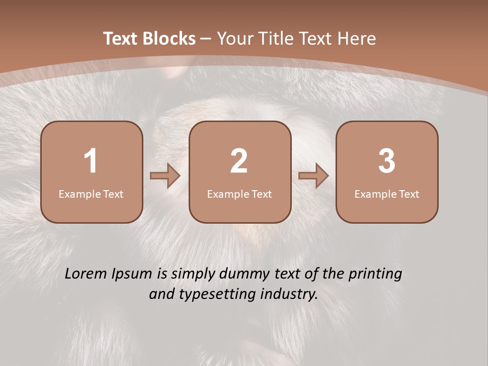 Fur Coat For Women PowerPoint Template