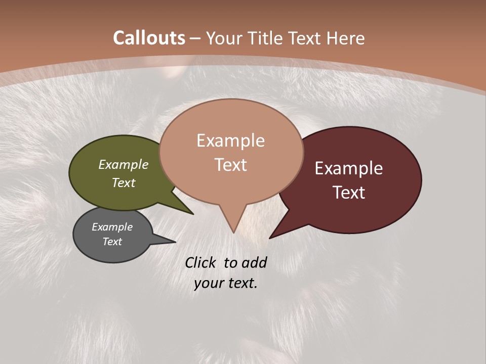 Fur Coat For Women PowerPoint Template