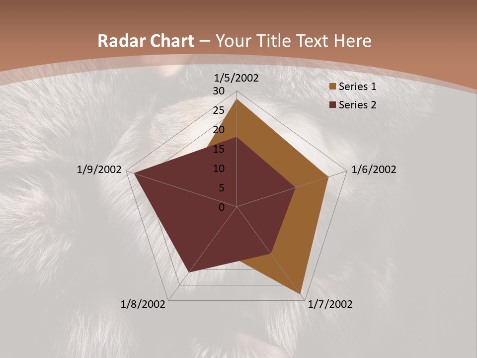 Fur Coat For Women PowerPoint Template