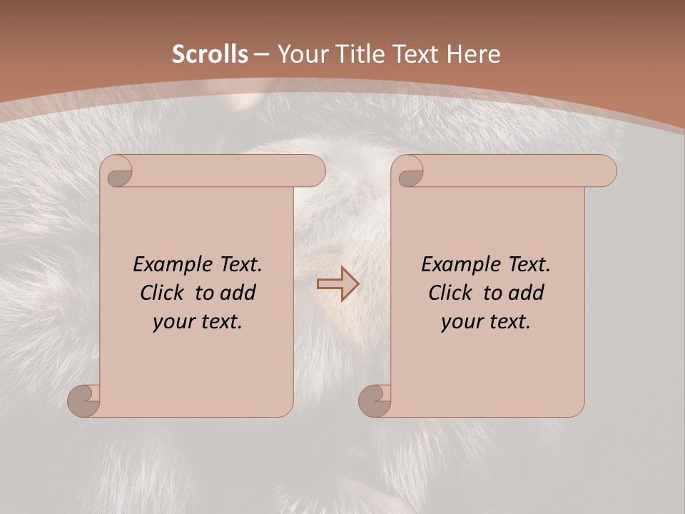 Fur Coat For Women PowerPoint Template