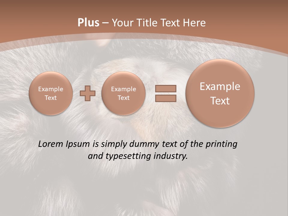 Fur Coat For Women PowerPoint Template