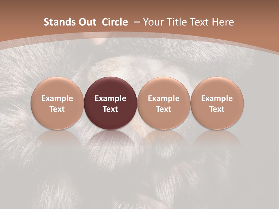 Fur Coat For Women PowerPoint Template