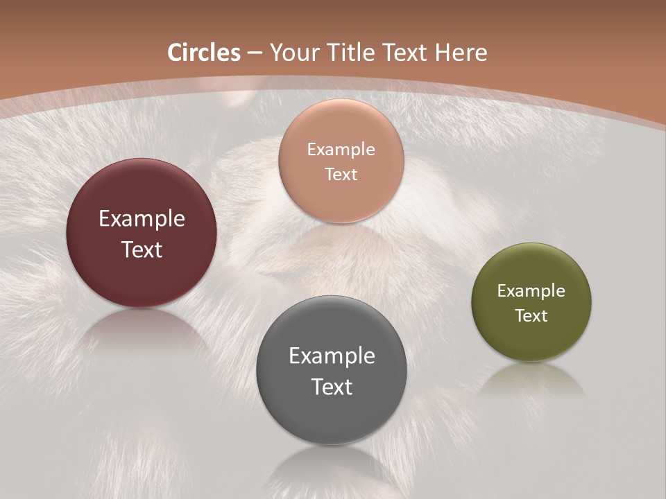 Fur Coat For Women PowerPoint Template