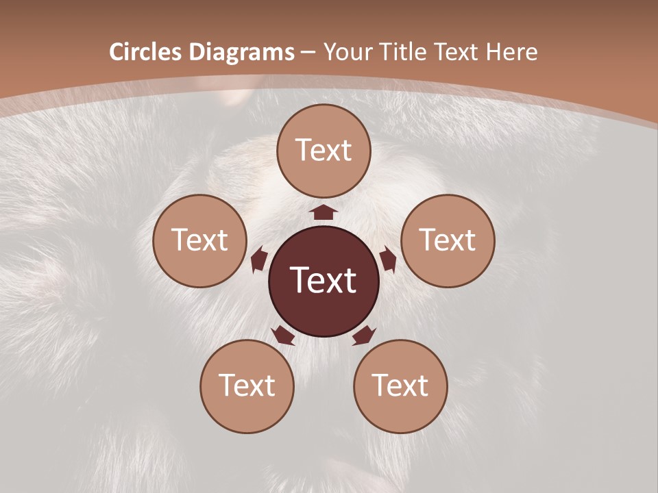 Fur Coat For Women PowerPoint Template