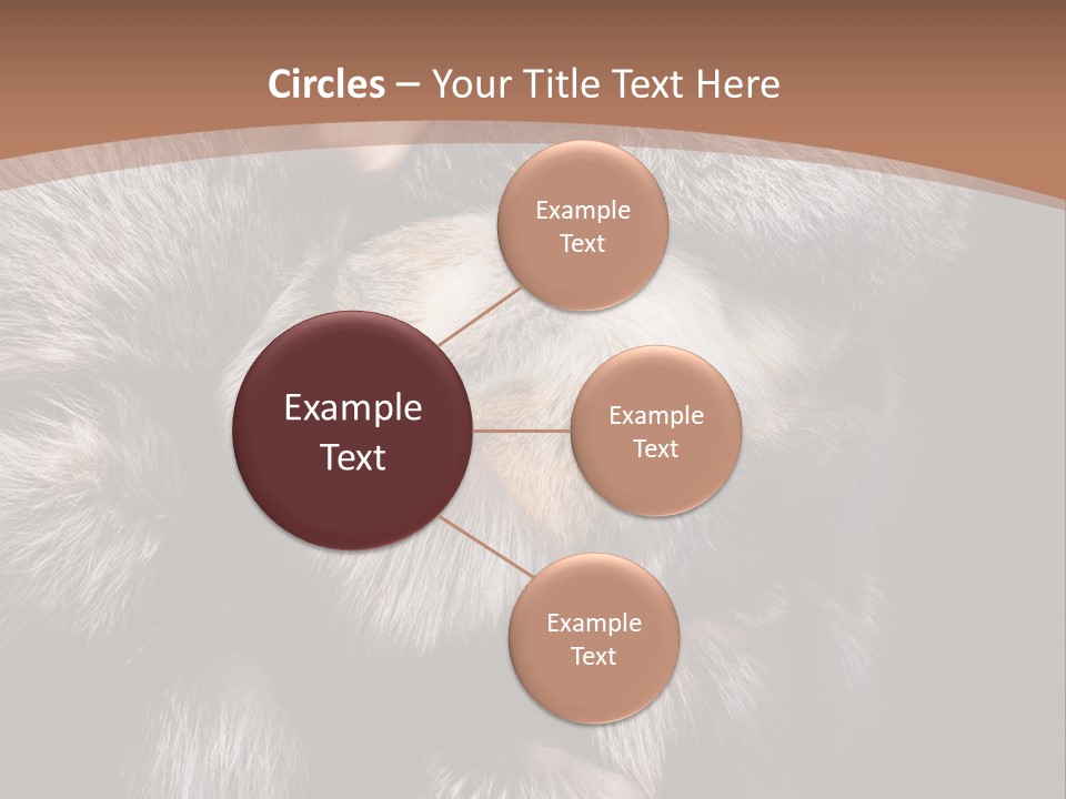 Fur Coat For Women PowerPoint Template