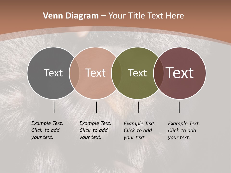 Fur Coat For Women PowerPoint Template