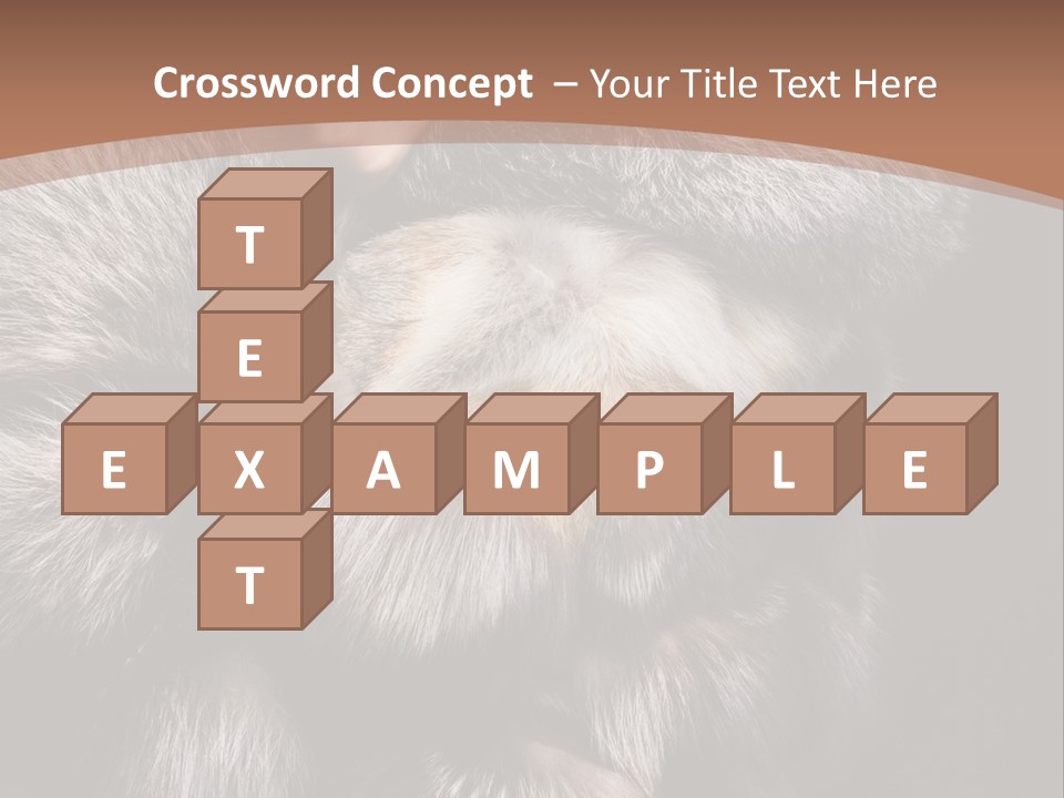 Fur Coat For Women PowerPoint Template