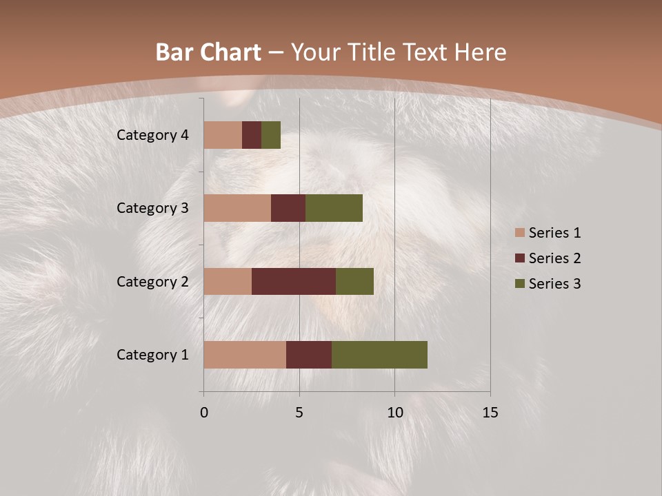 Fur Coat For Women PowerPoint Template