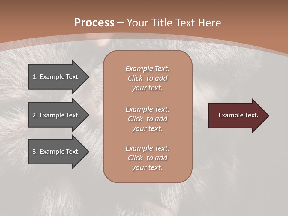 Fur Coat For Women PowerPoint Template