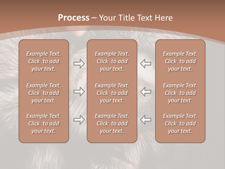 Fur Coat For Women PowerPoint Template