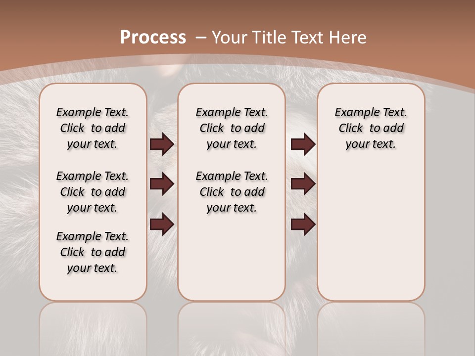 Fur Coat For Women PowerPoint Template