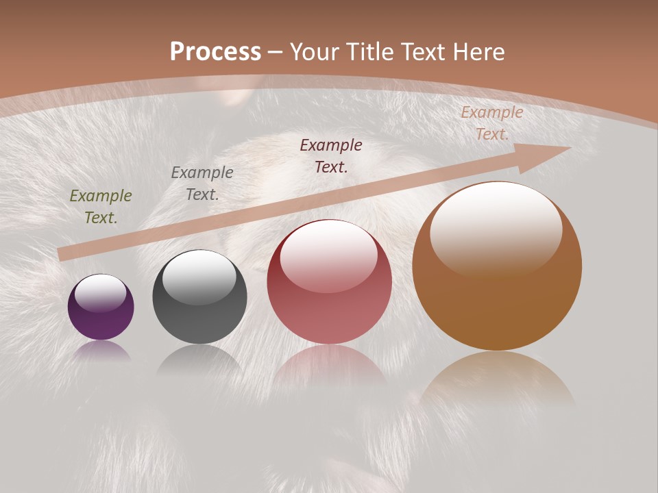 Fur Coat For Women PowerPoint Template