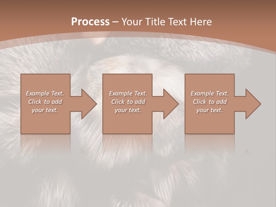 Fur Coat For Women PowerPoint Template