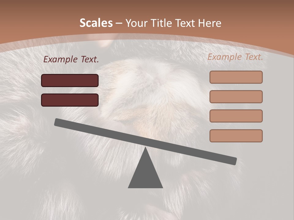 Fur Coat For Women PowerPoint Template