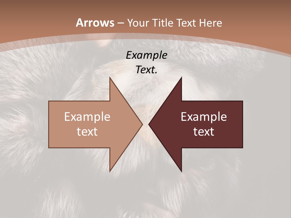 Fur Coat For Women PowerPoint Template